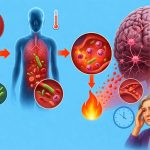 İdrar Yolu Enfeksiyonu ve Ağır Bakteriyel Hastalıklar Beyin Yaşlanmasını Hızlandırır