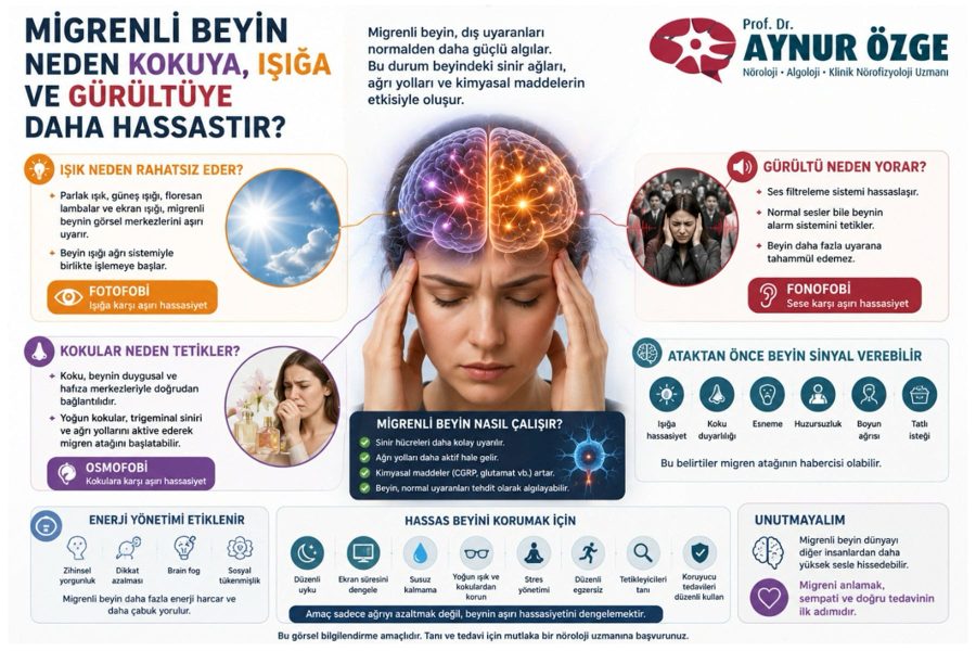 Migrenli Beyin Neden Kokuya, Işığa ve Gürültüye Daha Hassastır?