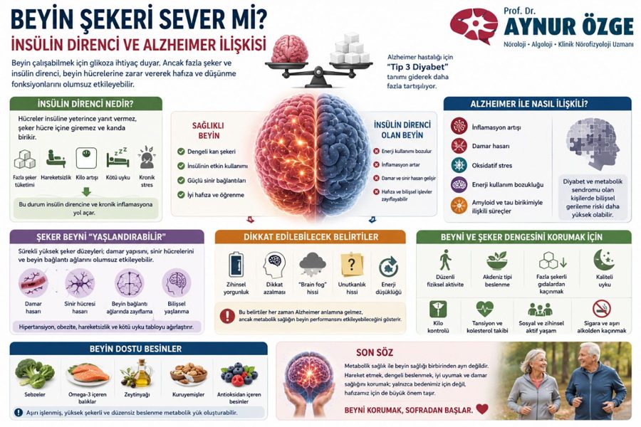 Beyin Şekeri Sever mi? İnsülin Direnci ve Alzheimer İlişkisi