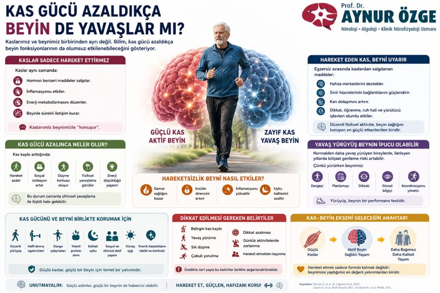 Kas Gücü Azaldıkça Beyin de Yavaşlar mı?