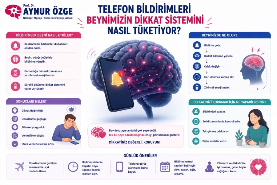 Telefon Bildirimleri Beynimizin Dikkat Sistemini Nasıl Tüketiyor?