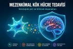 Mezenkimal Kök Hücre Tedavisi Nedir? Nörolojik Hastalıklardaki Yeri ve Bilimsel Dayanakları