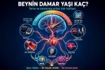 Beynin Damar Yaşı Kaç?  İnme ve Demansın Ortak Risk Haritası