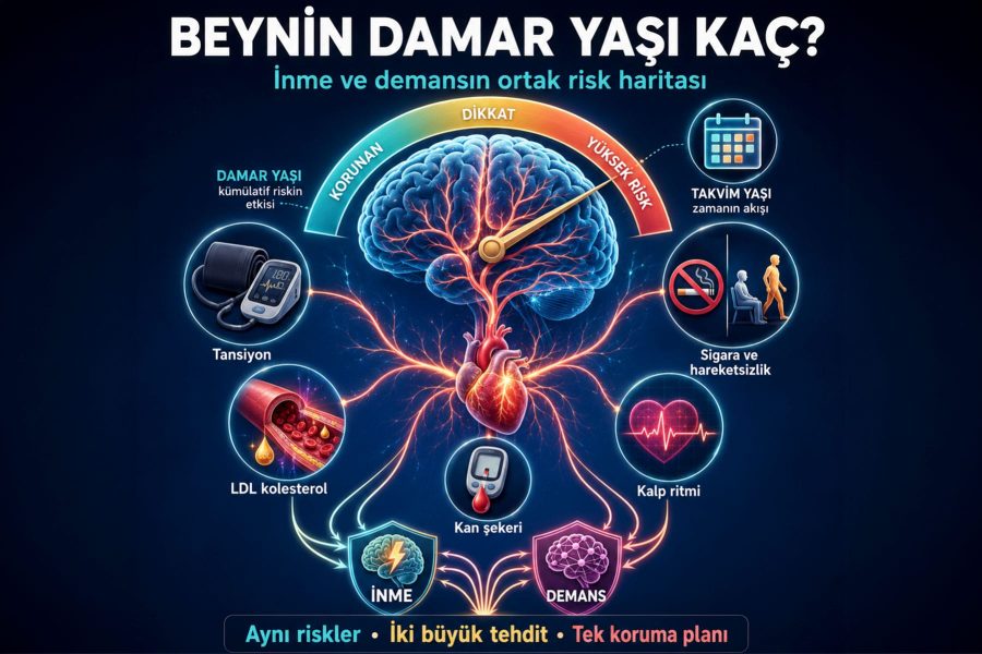 Beynin Damar Yaşı Kaç?  İnme ve Demansın Ortak Risk Haritası