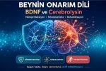 Beynin Onarım Dili: BDNF ve Cerebrolysin