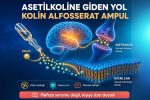 Asetilkoline Giden Yol: Kolin Alfosserat Ampul Kimlerde Anlamlı?