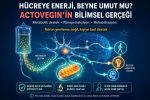 Hücreye Enerji, Beyne Umut mu? Actovegin’in Bilimsel Gerçeği